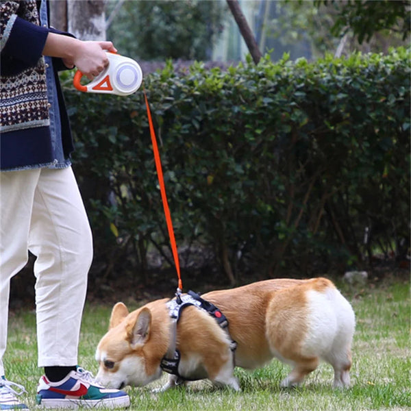 LumiLeash™ LED Pet Leash – Built-In Flashlight for Safe Night Walks